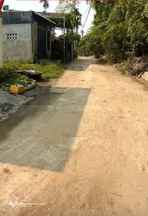 Bất động sản tại Đà Nẵng - ảnh 1