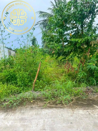 Bất động sản tại Cà Mau - ảnh 1