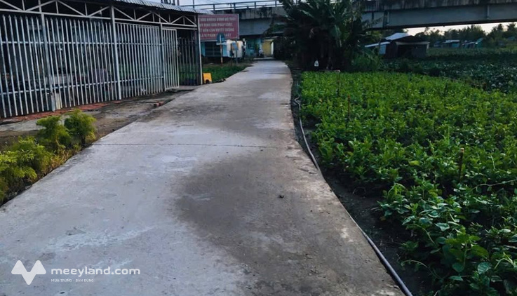 Bất động sản tại Kiên Giang - ảnh 1