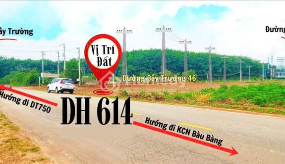 Bất động sản tại Bình Dương - ảnh 1