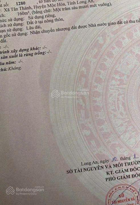 Bất động sản tại Long An - ảnh 1