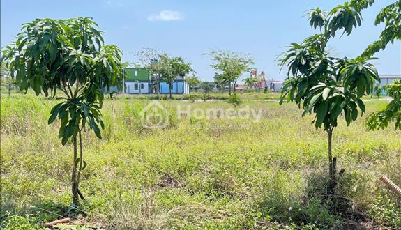 Bất động sản tại Long An - ảnh 1