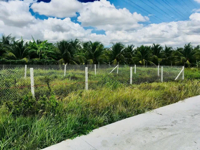 Bất động sản tại Tây Ninh - ảnh 1