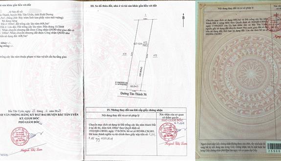Bất động sản tại Bình Dương - ảnh 1