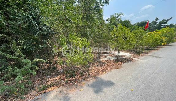 Bất động sản tại Bình Dương - ảnh 1