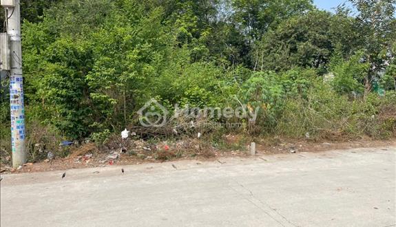 Bất động sản tại Bình Dương - ảnh 1