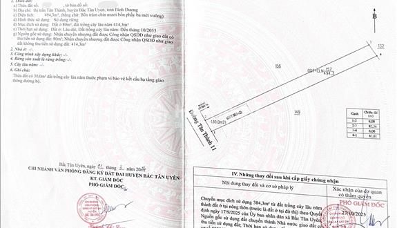 Bất động sản tại Bình Dương - ảnh 1