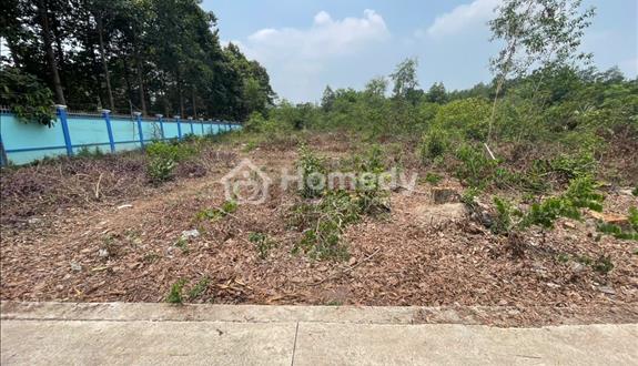 Bất động sản tại Bình Dương - ảnh 1