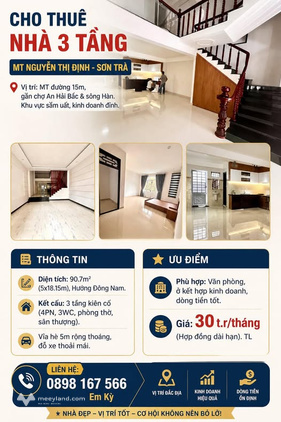 Bất động sản tại Đà Nẵng - ảnh 1