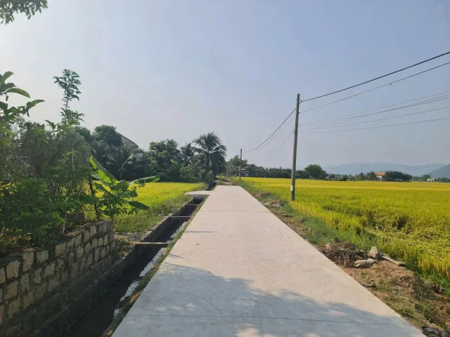 Bất động sản tại Khánh Hòa - ảnh 1
