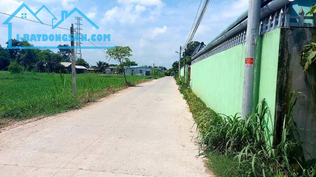 Bất động sản tại Long An - ảnh 1