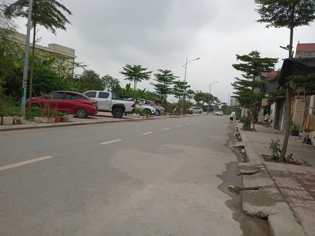 Bất động sản tại Hưng Yên - ảnh 1