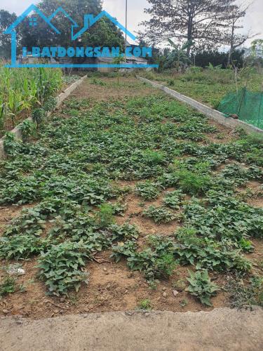 Bất động sản tại Hòa Bình - ảnh 1