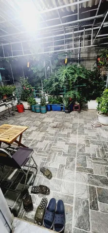 Bất động sản tại Hải Phòng - ảnh 1