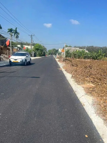 Bất động sản tại Bình Dương - ảnh 1