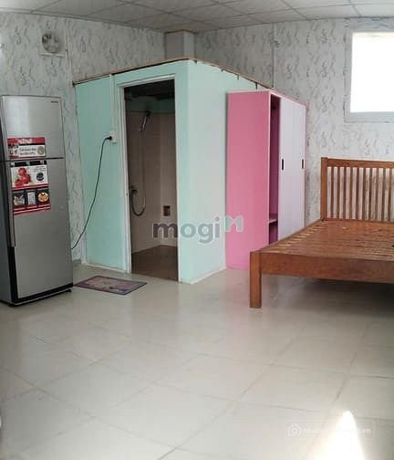 Bất động sản tại TP. Hồ Chí Minh - ảnh 1