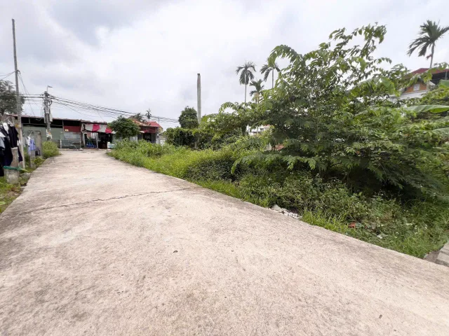 Bất động sản tại Hải Phòng - ảnh 1