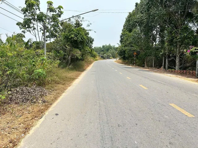 Bất động sản tại Bình Dương - ảnh 1