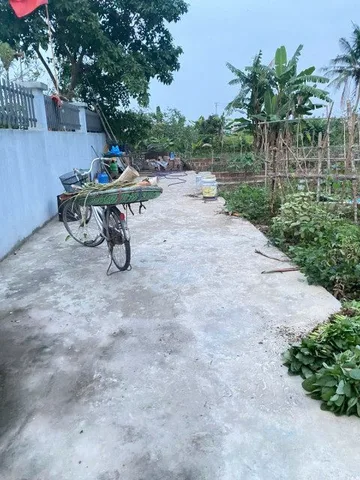 Bất động sản tại Hải Phòng - ảnh 1