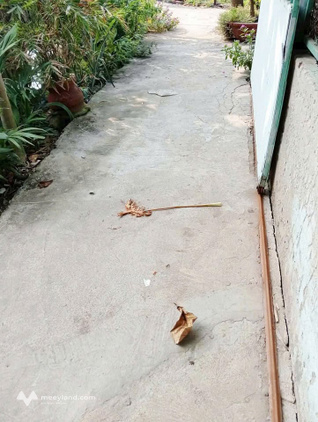 Bất động sản tại Bến Tre - ảnh 1