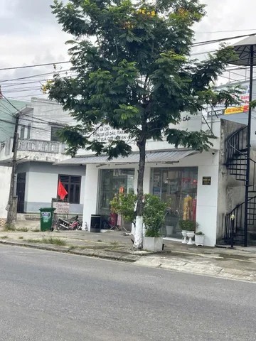 Bất động sản tại Đà Nẵng - ảnh 1