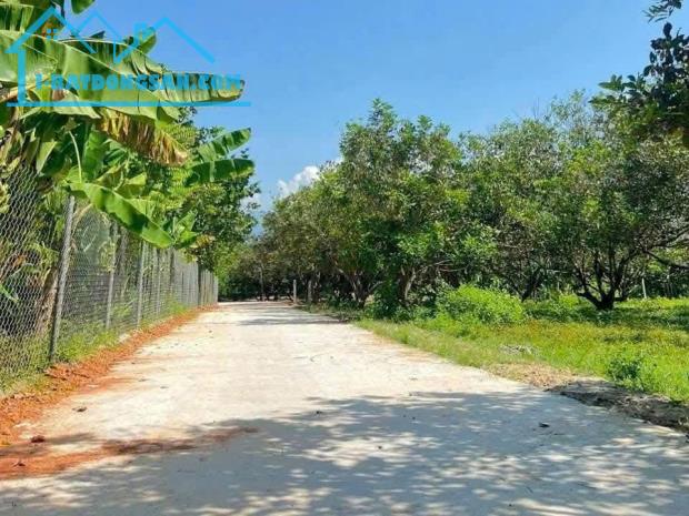 Bất động sản tại Khánh Hòa - ảnh 1