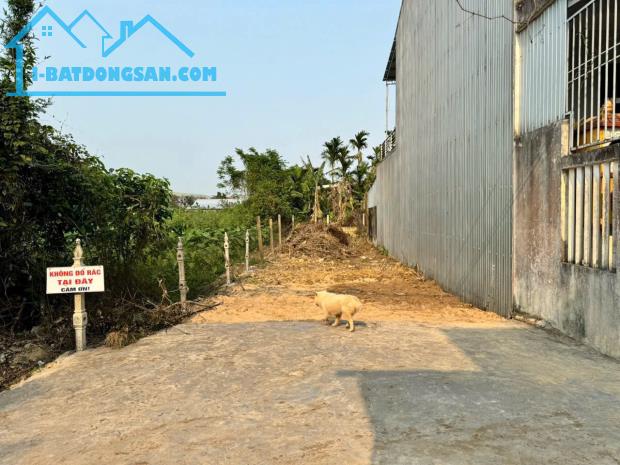 Bất động sản tại Thừa Thiên Huế - ảnh 1