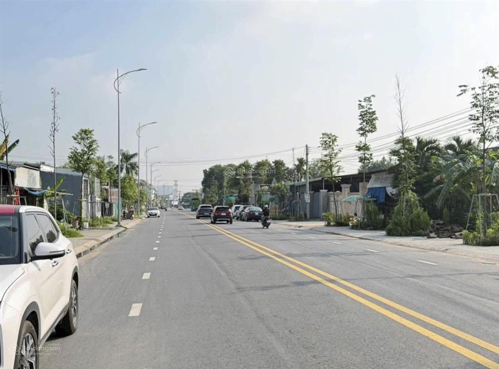 Bất động sản tại Bình Dương - ảnh 1