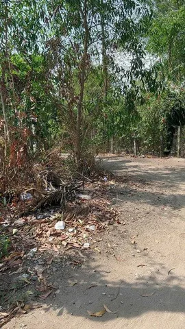 Bất động sản tại Bà Rịa - Vũng Tàu - ảnh 1