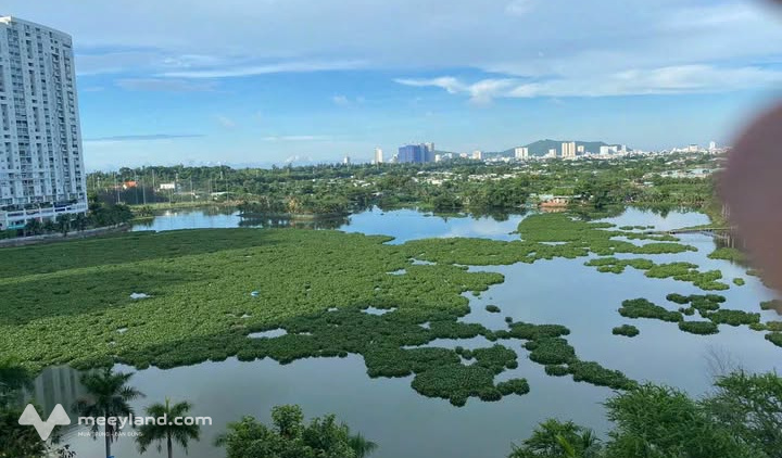 Bất động sản tại Bà Rịa - Vũng Tàu - ảnh 1