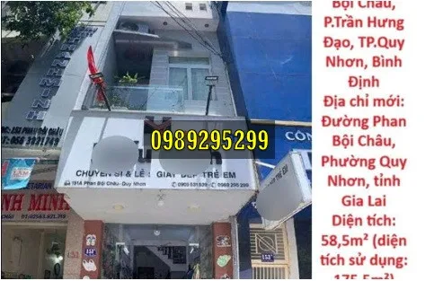 Bất động sản tại Gia Lai - ảnh 1