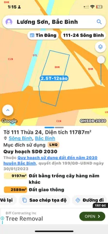 Bất động sản tại Lâm Đồng - ảnh 1