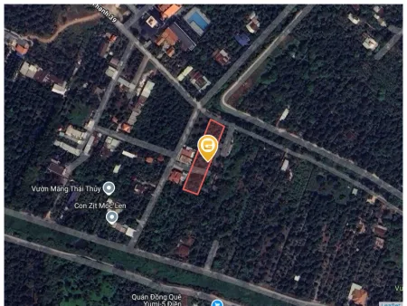 Bất động sản tại Bình Dương - ảnh 1