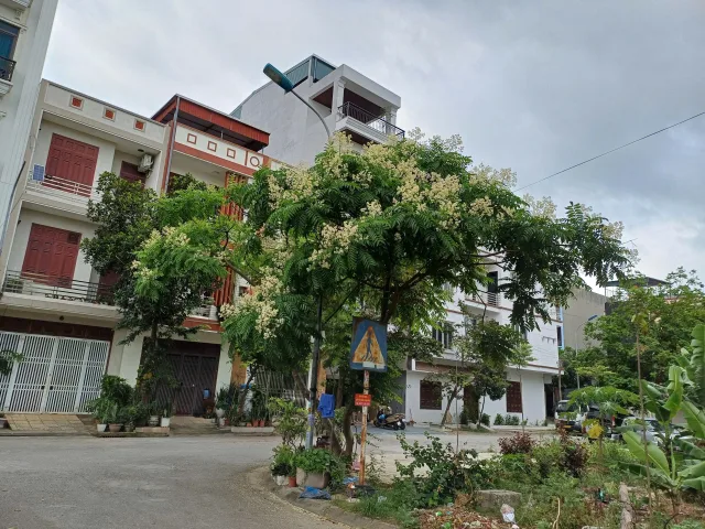 Bất động sản tại Bắc Ninh - ảnh 1