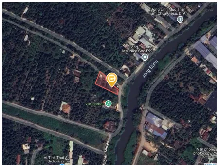 Bất động sản tại Bình Dương - ảnh 1