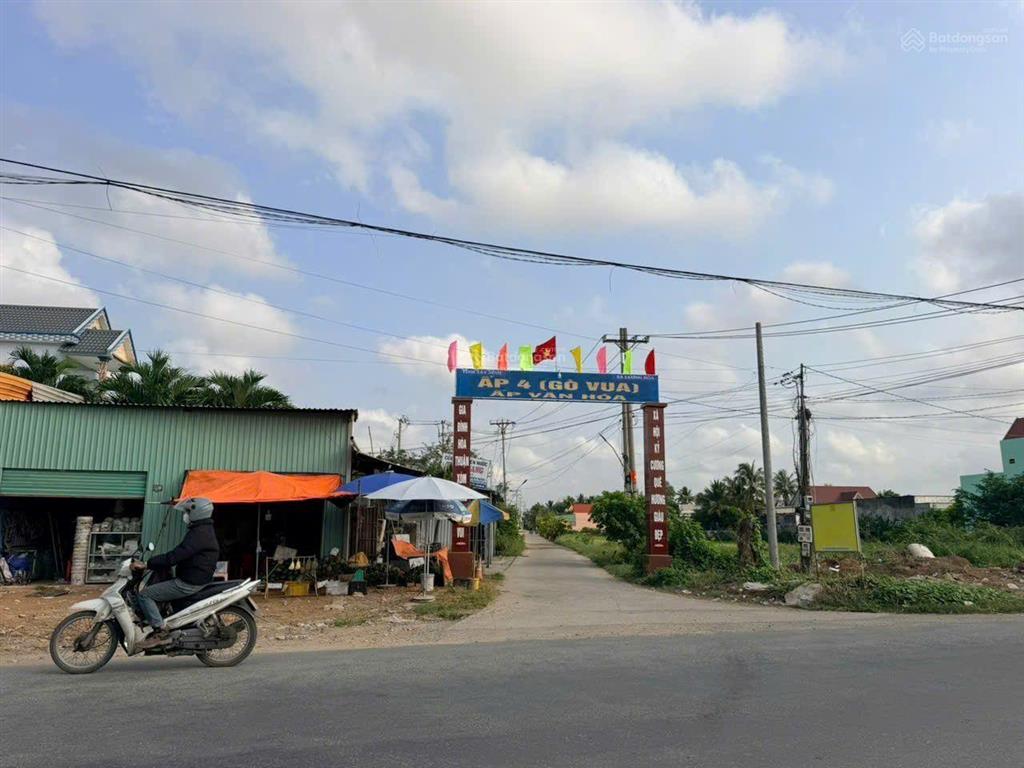 Bất động sản tại Long An - ảnh 1