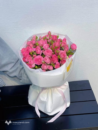 Bất động sản tại Đắk Lắk - ảnh 1