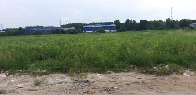 Bất động sản tại Bình Dương - ảnh 1