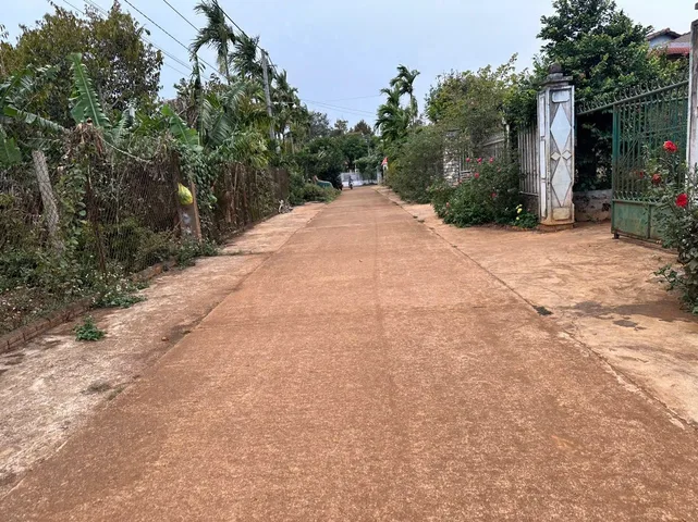 Bất động sản tại Đắk Lắk - ảnh 1