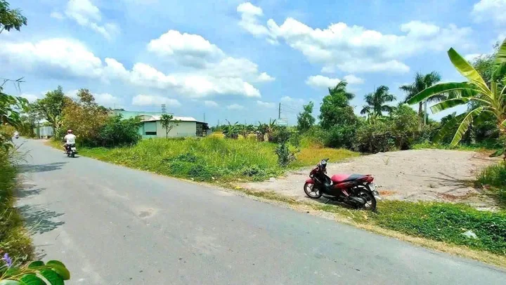 Bất động sản tại Long An - ảnh 1