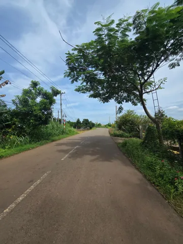 Bất động sản tại Đồng Nai - ảnh 1