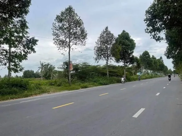 Bất động sản tại Cần Thơ - ảnh 1