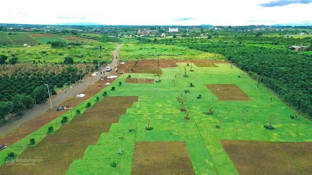 Bất động sản tại Lâm Đồng - ảnh 1