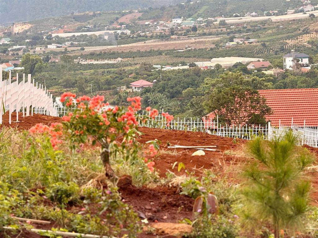 Bất động sản tại Lâm Đồng - ảnh 1