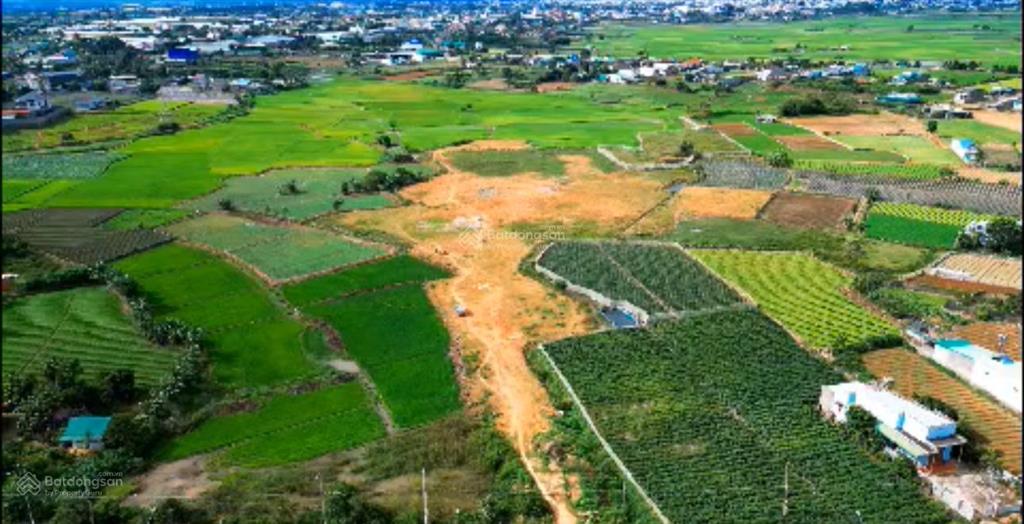 Bất động sản tại Lâm Đồng - ảnh 1