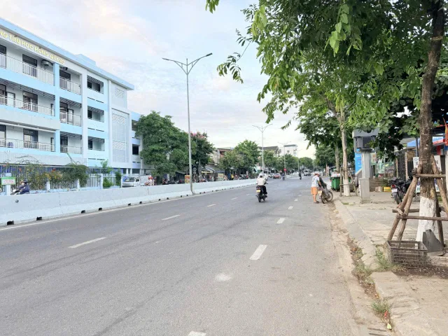 Bất động sản tại Đà Nẵng - ảnh 1