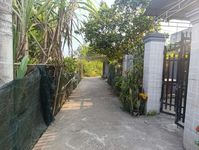 Bất động sản tại Đà Nẵng - ảnh 1