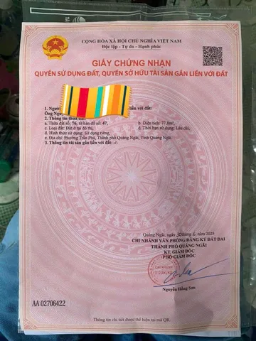 Bất động sản tại Quảng Ngãi - ảnh 1