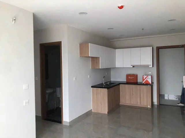 Bất động sản tại Bình Dương - ảnh 1