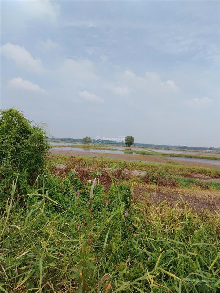 Bất động sản tại Tây Ninh - ảnh 1